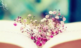 Ảnh minh họa: Internet