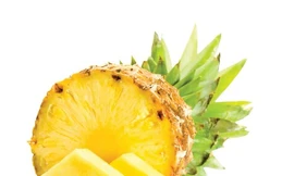 Ảnh minh họa: Internet