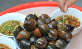 Ảnh minh họa: Internet