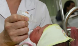 Ảnh minh họa: Internet