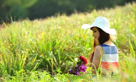 Ảnh minh họa: Internet