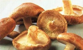 Ảnh minh họa: Internet