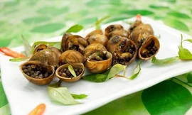 Ảnh minh hoạ: Internet