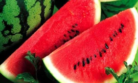 Ảnh minh họa: Internet