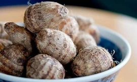 Ảnh minh hoạ: Internet