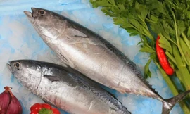 Ảnh minh họa: Internet