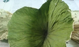 Ảnh minh hoạ: Internet