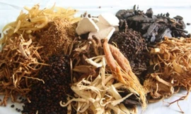 Ảnh minh họa: Internet