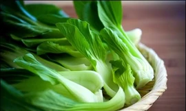 Ảnh minh hoạ: Internet