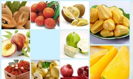 Ảnh minh họa: Internet