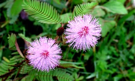 Ảnh minh họa: Internet