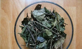 Ảnh minh họa: Internet