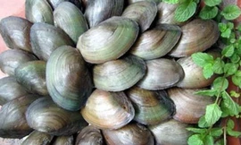 Ảnh minh hoạ: Internet