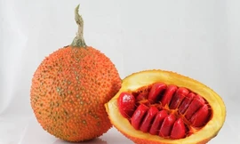 Ảnh minh họa: Internet