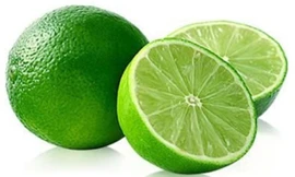 Ảnh minh họa: Internet