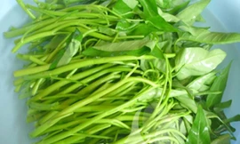 Ảnh minh họa: Internet