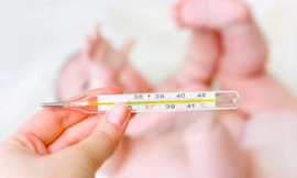 Ảnh minh họa: Internet