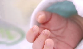 Ảnh minh hoạ: Internet