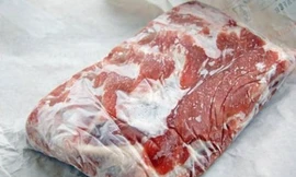 Ảnh minh hoạ: Internet