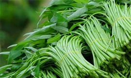 Ảnh minh hoạ: Internet