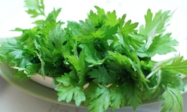 Ảnh minh hoạ: Internet