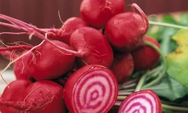 Ảnh minh hoạ: Internet