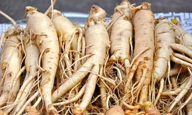 Ảnh minh họa: Internet