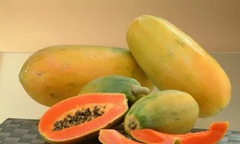 Ảnh minh họa: Internet