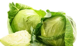 Ảnh minh họa: Internet