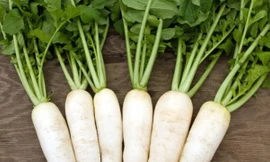 Ảnh minh họa: Internet