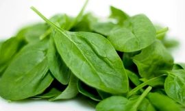 Ảnh minh họa: Internet