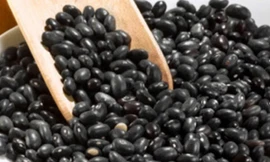 Ảnh minh họa: Internet