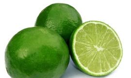 Ảnh minh họa: Internet