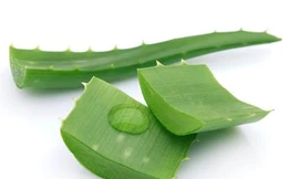 Ảnh minh hoạ: Internet