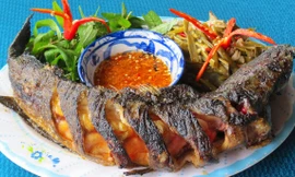 Ảnh minh hoạ: Internet