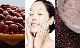 Ảnh minh họa: Internet