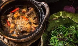 Ảnh minh hoạ: Internet