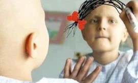 Ảnh minh họa: Internet