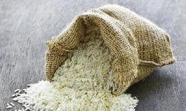 Ảnh minh họa: Internet