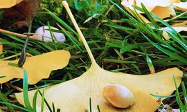 Ảnh minh họa: Internet