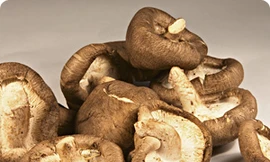 Ảnh minh hoạ: Internet