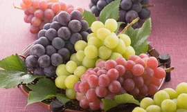 Ảnh minh hoạ: Internet