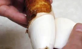 Ảnh minh họa: Internet