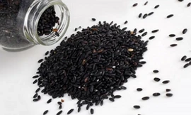 Ảnh minh hoạ: Internet