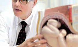 Ảnh minh họa: Internet