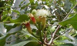 Ảnh minh hoạ: Internet