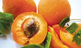 Ảnh minh họa: Internet