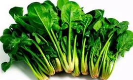 Ảnh minh họa: Internet