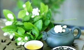 Ảnh minh hoạ: Internet