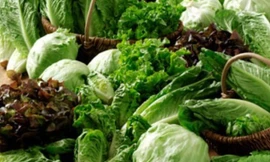 Ảnh minh họa: Internet